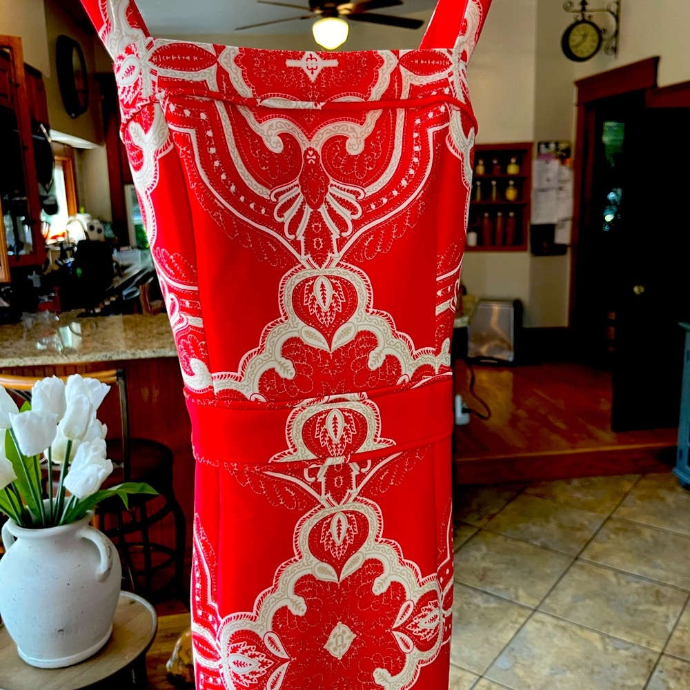 Adrianna Pappell Dress from Dress Barn, tag still attached